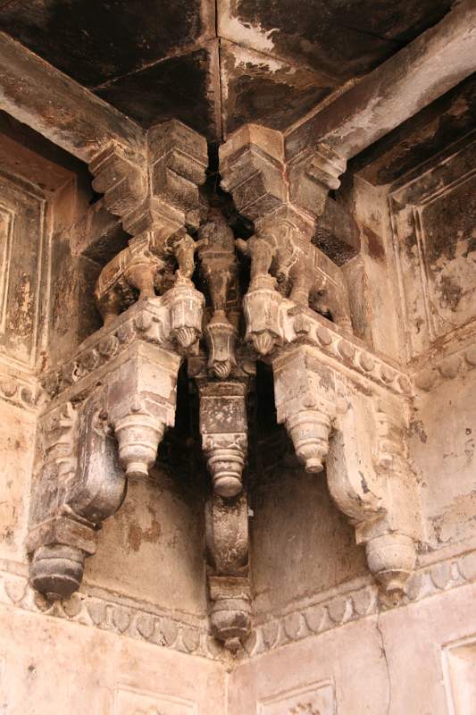 India & Nepal 2011 - 1043